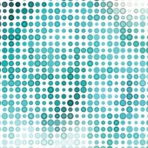 Meet your Posher, Ciara